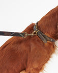 Tartan Dog Lead